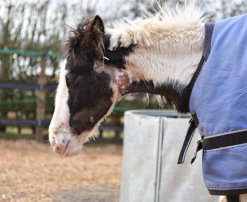 Tenk smittevern - alltid